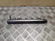 Einspritzleiste Nissan X-Trail III (T32) H8201044829