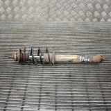 Stoßdämpfer vorne rechts SMART CITY-COUPE (450) 0.7 (450.352, 450.353) 0008597006