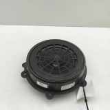 Türlautsprecher hinten links