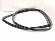 Türdichtungsgummi hinten links TOYOTA RAV 4 II (_A2_) 2.0 D-4D 4WD (CLA20_, CLA21_)