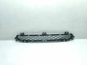 Kühlergrill unten BMW X3 (F25) 7210466