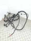 Motor Kabelbaum BMW X3 (F25) xDrive 28 i 7594992