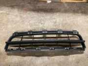 Gitter Grill vorne links RENAULT CLIO II (BB0/1/2_, CB0/1/2_) 1.2 (BB0A, CB0A) 0001018705