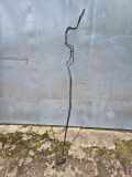 Kraftstoffrohr TOYOTA AURIS (_E18_) 1.8 Hybrid (ZWE186_)