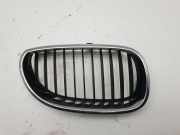 Gitter Grill vorne rechts BMW 5 Touring (E61) 530 xd 7027062