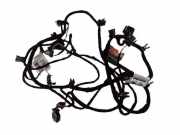 Kabel Tür vorne rechts AUDI A8 D3 (4E2, 4E8) 4.0 TDI quattro 4E0971142A 4E0971036D