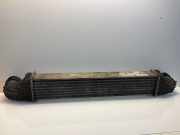 Ladeluftkühler Mercedes-Benz E-Klasse (W211) 2115003902