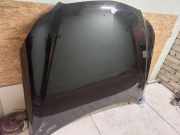 Motorhaube MERCEDES-BENZ E (W212) E 200 (212.034)