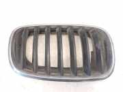 Vorderer oberer Gitter BMW X5 (E70) xDrive 35 d 51137171396