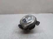 Nebelscheinwerfer links BMW X5 (F15, F85) xDrive 30 d 3177317251