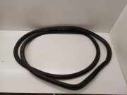 Türgummi links vorne VW Jetta IV (162, 163, AV3, AV2) 5C6867911