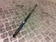 Heckklappe Gasdruckfeder rechts FORD ECOSPORT 1.0 EcoBoost fn15n400a12ab