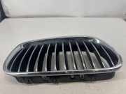 Vorderer oberer Gitter BMW 5 (F10) 520 d 7261356
