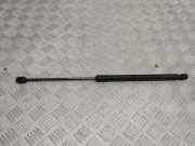 Heckklappe Gasdruckfeder rechts NISSAN MURANO II (Z51) 3.5 4x4 904501AB0A