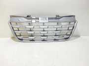 Gitter RENAULT MASTER III Furgon (FV) 2.3 dCi 100 [RWD] (FV0B, FV0C, FV0D) 623100256R