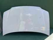 Motorhaube VW CADDY II Variant (9K9B) 1.9 D 1T0823031D