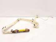 Dach SRS rechts FIAT BRAVO II (198_) 2.0 D Multijet 8R071240067 517510920