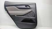 Türverkleidung links hinten Hyundai Santa Fe II (CM) 83301S1930YPJ