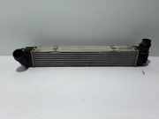 Ladeluftkühler RENAULT SCÉNIC III (JZ0/1_) 1.9 D (JA0J) 144960023R