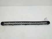 Gitter vorne unten TOYOTA RAV 4 III (_A3_) 2.2 D 4WD (ALA30_) 5311242040