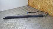Heckklappendämpfer links BMW 3er (F30, F80) 7432373