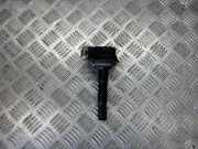 Zündspule VW SHARAN (7M8, 7M9, 7M6) 1.8 T 20V 0040100013