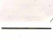 Türdichtungsgummi vorne links MERCEDES-BENZ COUPE (C123) 230 C (123.043)