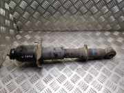 Stoßdämpfer hinten rechts