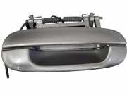 Türaußengriff hinten rechts