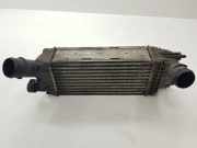 Ladeluftkühler Citroen C5 III (RD) 9657073480