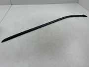 Zierleiste Windschutzscheibe Frontscheibe FORD C-MAX II (DXA/CB7, DXA/CEU) 1.6 TDCi AM51R03195