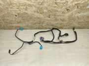 Kabel der vorderen linken Tür VW PASSAT CC (357) 2.0 TDI 3C8971557AG