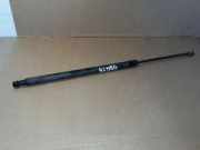 Heckklappe Gasdruckfeder rechts NISSAN X-TRAIL (T31) 2.0 dCi 7019YN0560N 90451JG400