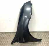 Kotflügel vorne rechts RENAULT VEL SATIS (BJ0_) 2.2 dCi (BJ0E, BJ0F)