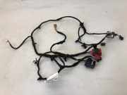 SONSTIGE KABELBÄUME VW PASSAT B9 Variant (CJ5) 1.5 TSI eHybrid 3j0971641ca