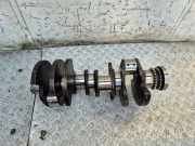 Kurbelwelle AUDI A4 Cabrio (8H7, B6, 8HE, B7) S4 quattro 079AC 079H