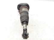 Stoßdämpfer rechts hinten BMW 5er Touring (G31) 814903014874