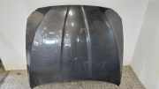 Motorhaube BMW 5 Touring (F11) 520 d