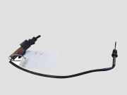 Abgastemperatursensor CITROËN C3 II 1.6 HDi 110 9665090280