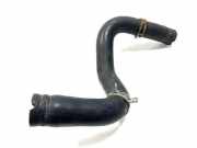 Schlauch Kühlung PEUGEOT 207 (WA_, WC_) 1.4 HDi