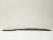 Zierleiste Windschutzscheibe Frontscheibe VW PASSAT B7 ALLTRACK (365) 2.0 TDI 3C0854327