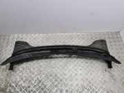 Grill Windlauf Hyundai Kona I (OS, OSE, OSI) 81650J9900