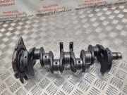 Kurbelwelle Audi A2 (8Z) 036H