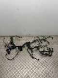 Motor Kabelbaum NISSAN JUKE (F16) 1.0 240113437S