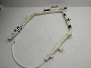Airbag Dach links Ford C-Max II (DXA) 1D0762901