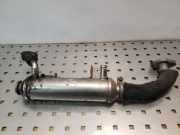 AGR-Kühler OPEL VECTRA C GTS 1.9 CDTI 55202430