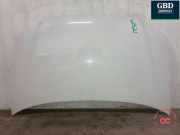 Motorhaube VW Caddy III Kasten (2KA) 1T0823031D