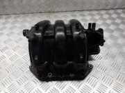 Ansaugkrümmer Skoda Fabia II Kombi (545) 03E129711D