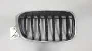 Kühlergrill oben BMW X1 (F48) 7354824