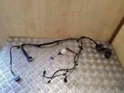 Kabel Tür Peugeot 508 I () 9677996680